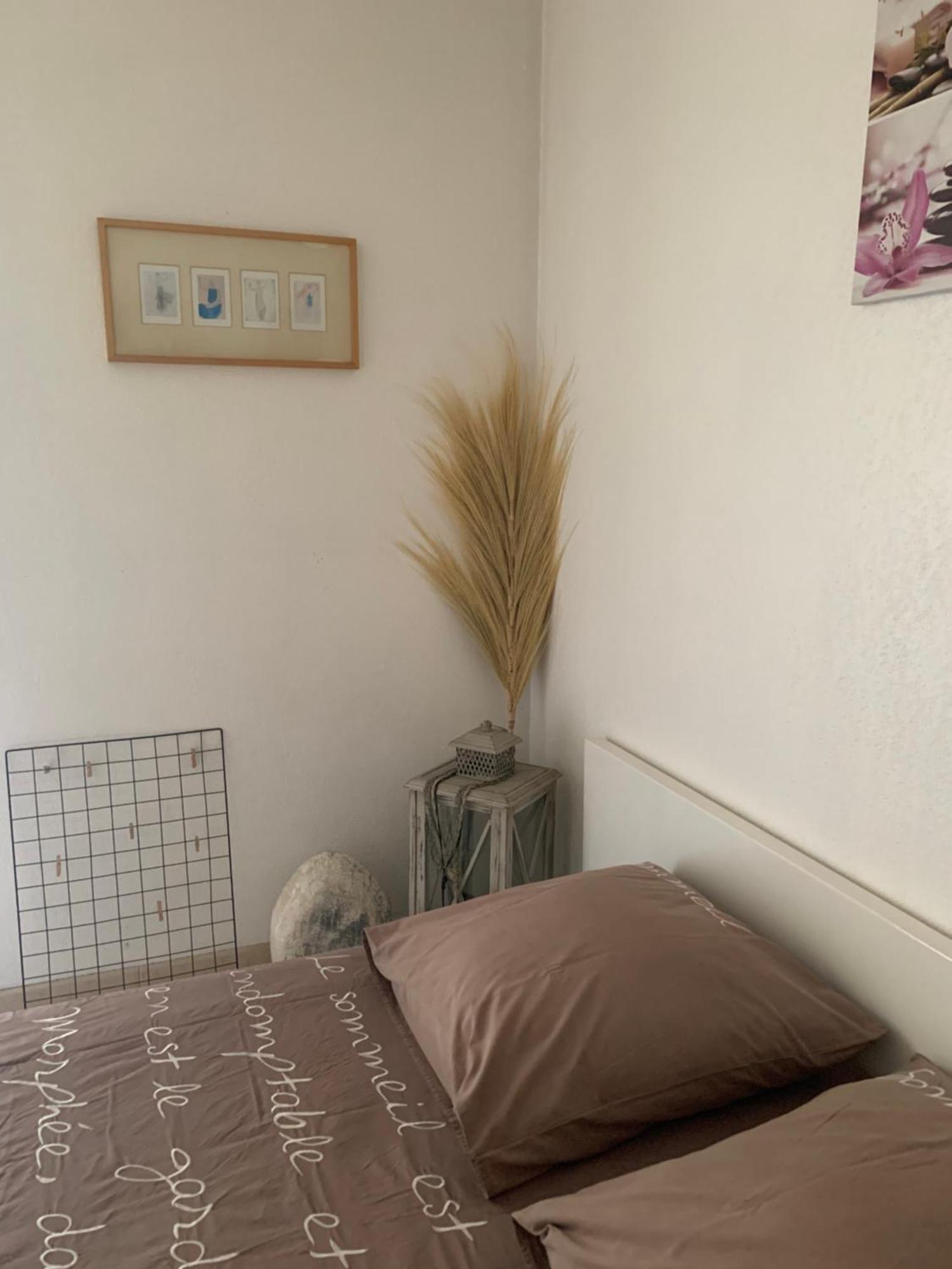 Votre Sejour Cosy A Frejus! Apartment ภายนอก รูปภาพ
